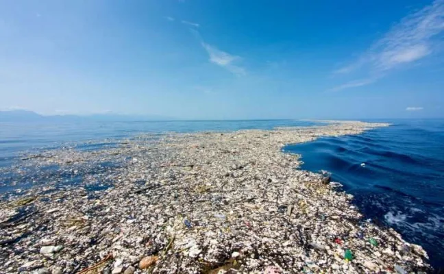 Bioremediation to Save the Pacific Ocean!