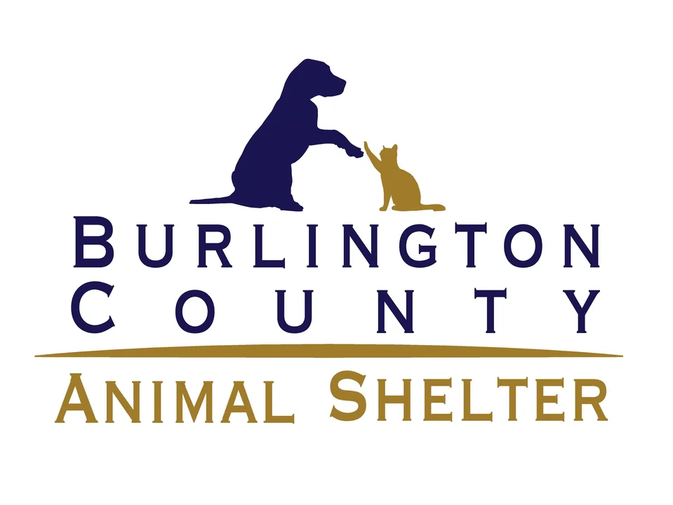 BURLINGTON COUNTY ANIMAL SHELTER NEEDS A VOLUNTEER PROGRAM