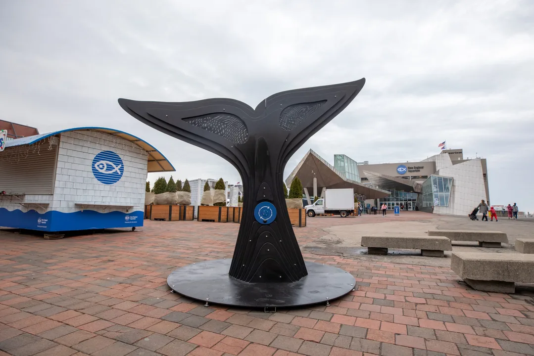 The people of ROCKAWAY want Whalemina back home