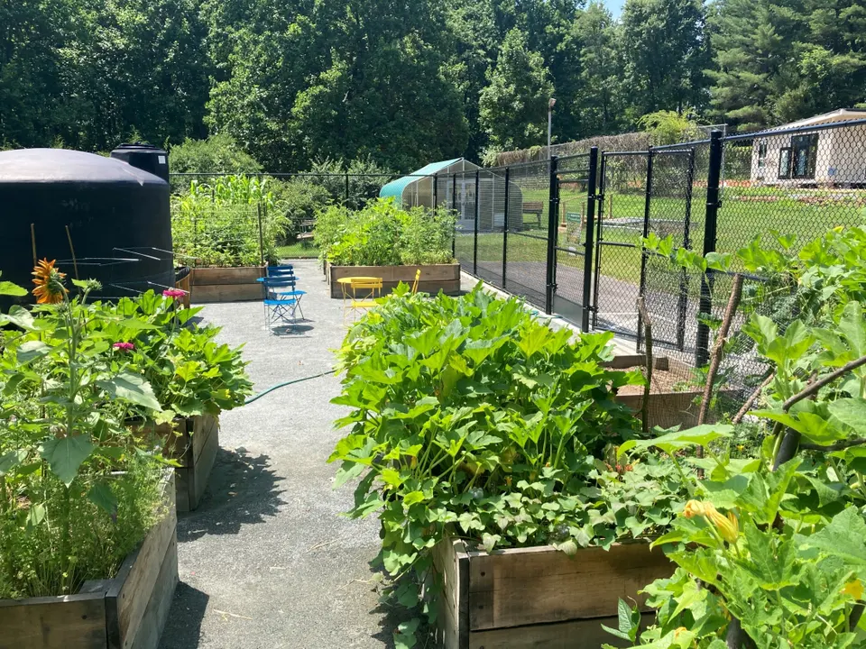 I Support a Community Garden at Beltana Park
