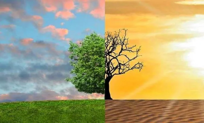 BCP Council - Act now on Climate and Ecological Emergency Plan