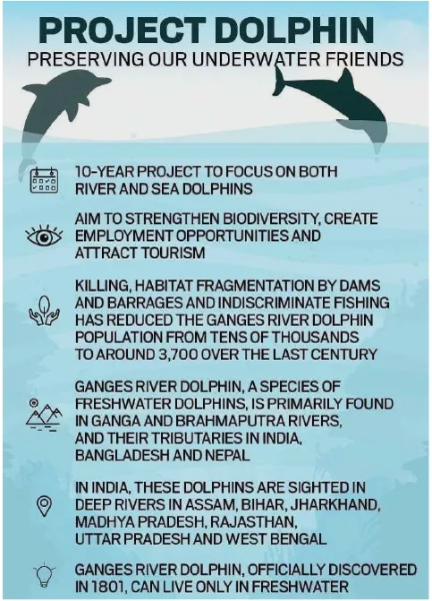Stop the slaughter of Calderon Dolphins