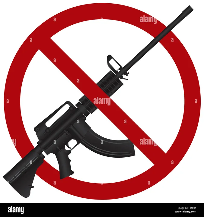 gun sanity