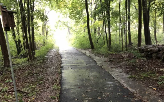 Protect Ridgefield’s Recreation Center Path