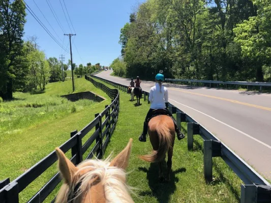 Horse Trails and Shared Greenways in Williamson County, TN