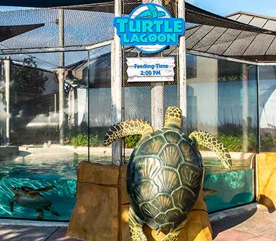 Save the Chula Vista Nature Center