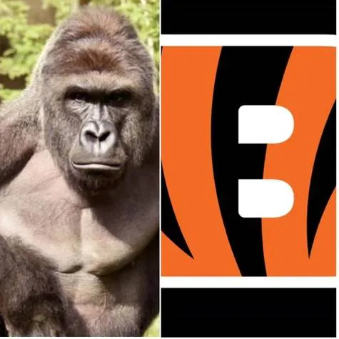 Stop the Bengals name change!