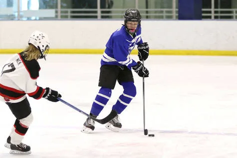 Save our Hockey Rink