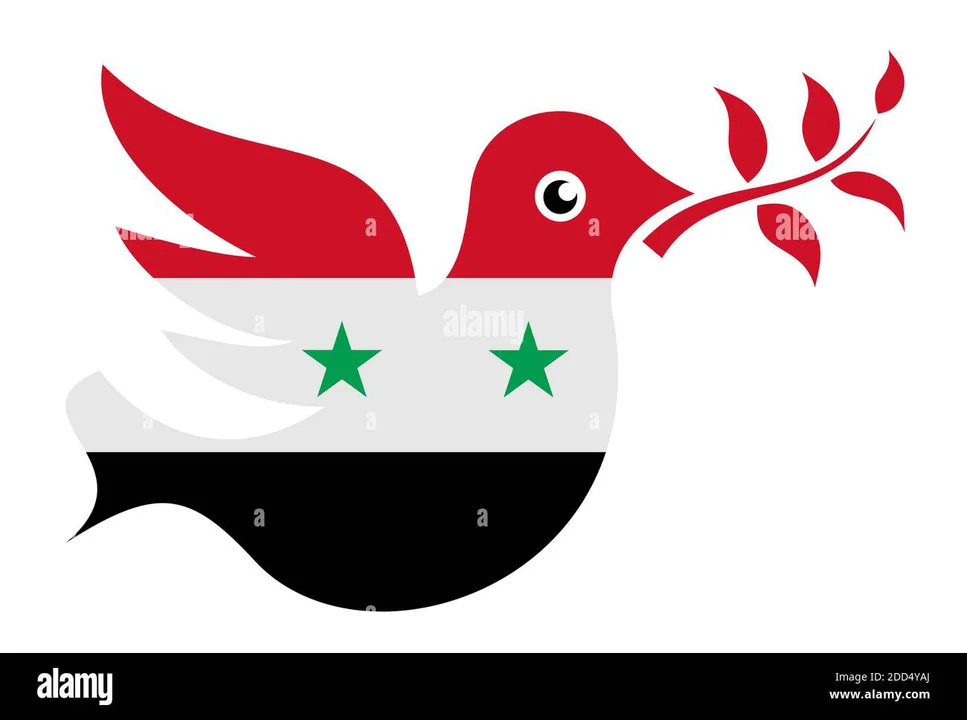 حركة بداية