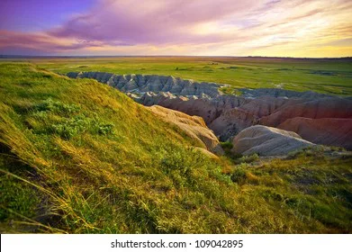 Letter to the President to support Industrial Hemp on the Pine Ridge Reservation