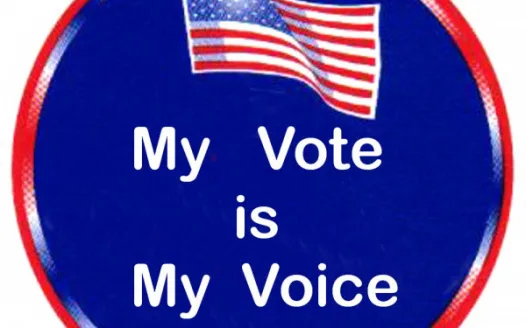 Protect Our Vote!