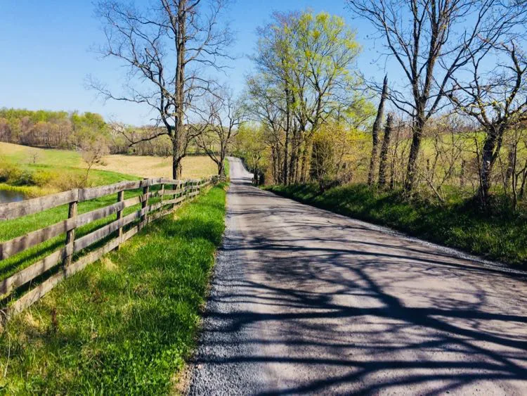 Paved Roads for the Childhelp Alice C. Tyler Village