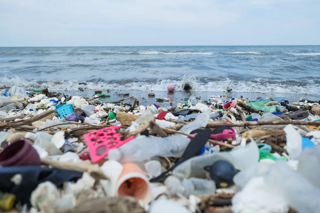 Plastic Petition..