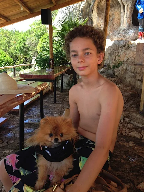 Justice for Sash! - Pravica za Sasha