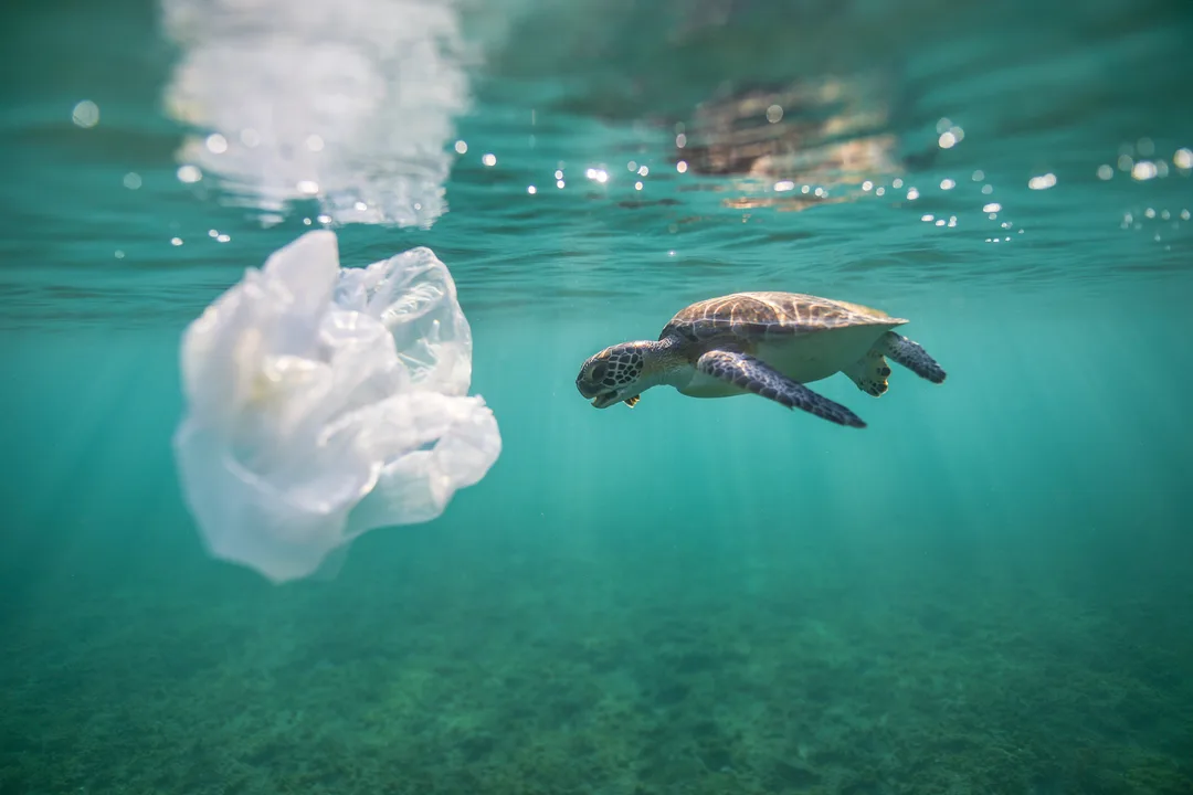 Stop using plastic bags.