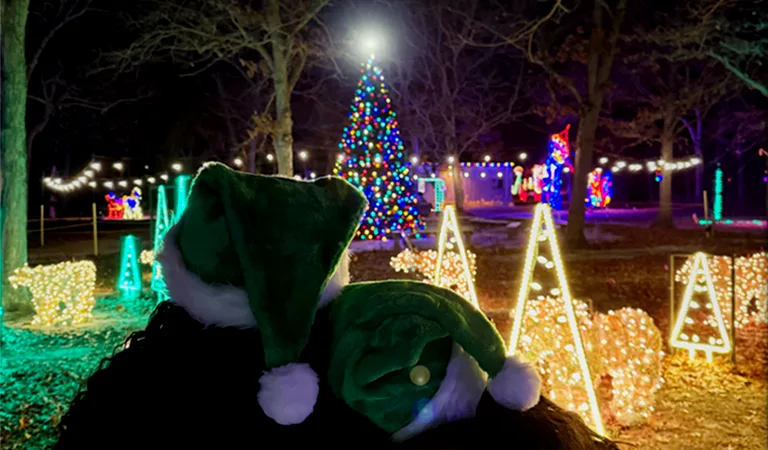 Petition to Support Girl Scouts of Suffolk County’s Holiday Light Show at Camp Edey in Bayport