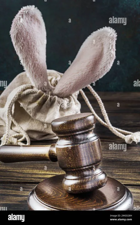 Control Animal Abuse!