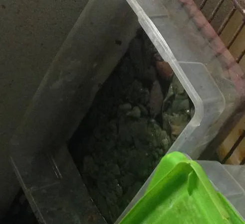 Close down Munchies MLK for serving expired food and operating in unsanitary conditions.