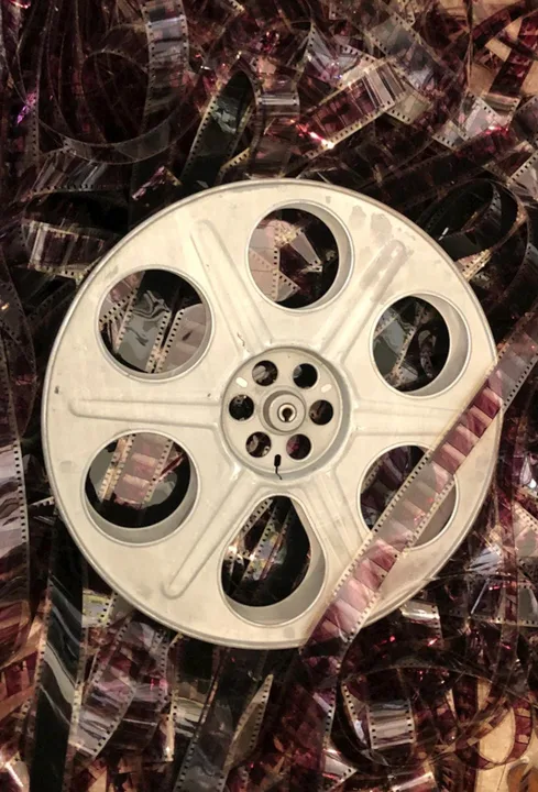 Release 'The Muscles From Brussels' Documentary on DVD!