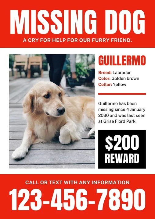 Please Get Murphy Home