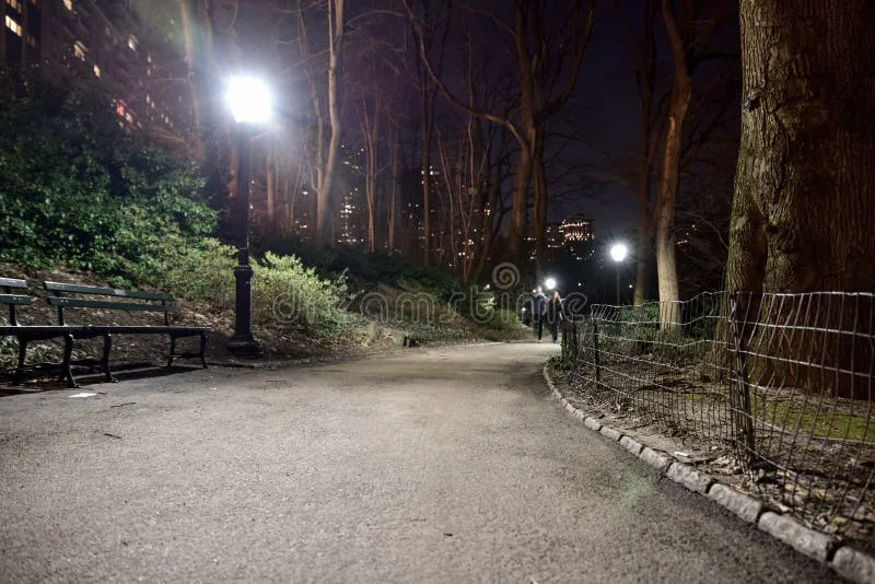 Lights for Manor Park