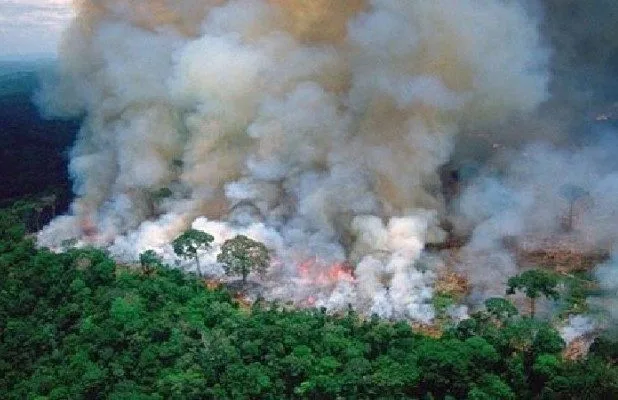 Save the Amazon: Ask Amazon to buy the Amazon