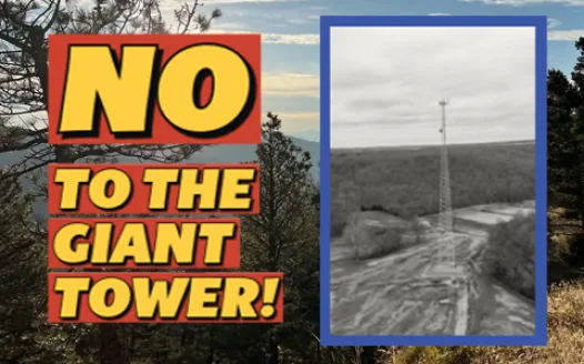 NO to the Giant Cell Tower