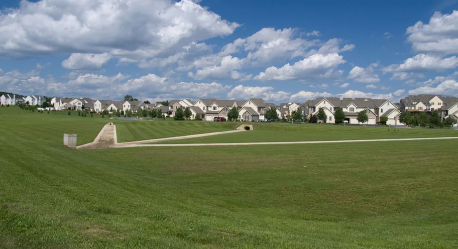 Retention Basin Landscape