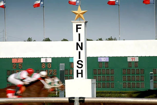People Against Horse Racing