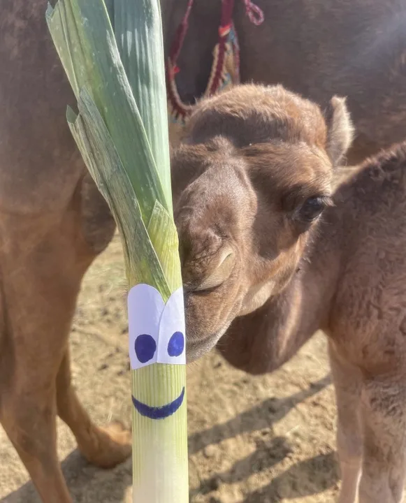 The world needs a LEEK emoji