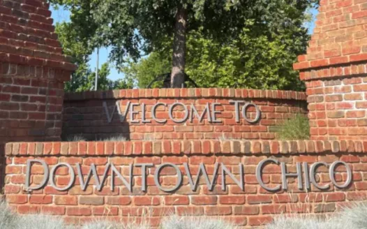 Petition to Reinstate Downtown Chico Parklets
