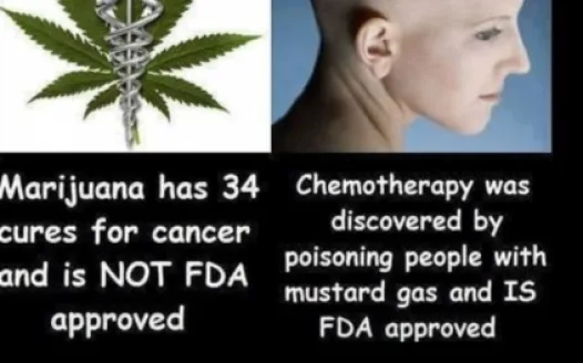 Legalize Medicinal & Recreational Marijuana in N.C.