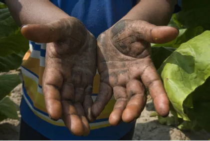 Standing in Solidarity with Victims of Labor Trafficking