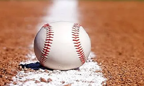Petition to Reinstate Division I Baseball at Boise State University