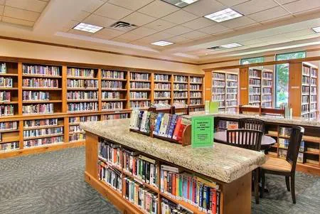 Build a Library Branch in the Rayford/Grand Parkway Area!