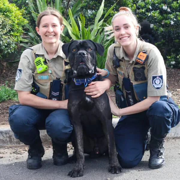 RSPCA officer for Broome