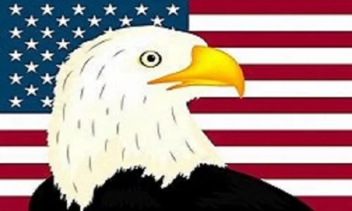 Second Amendment Sanctuary