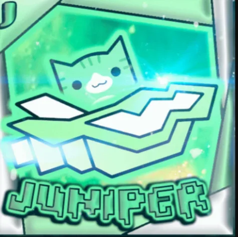 Make Juniper's Life Better