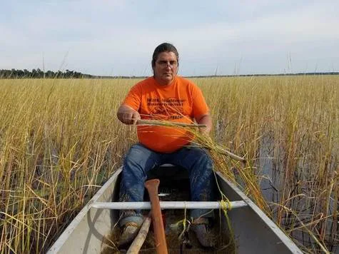 Allow NO chemicals on Tawas Lake Rice