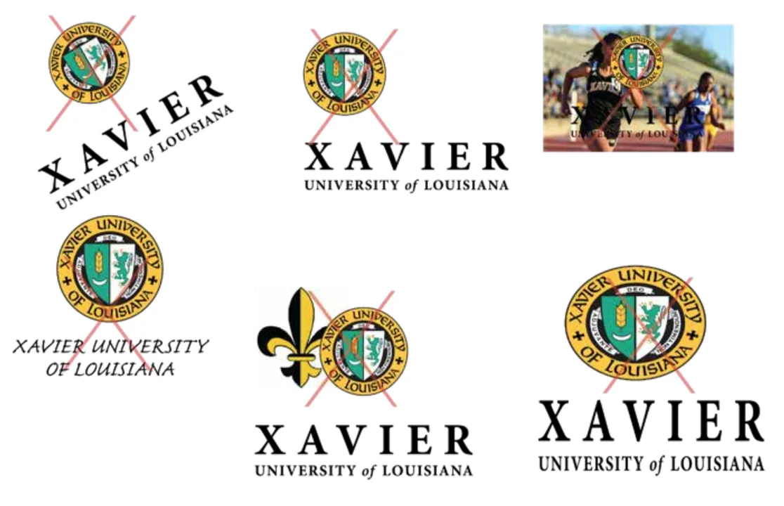 Xavier University of Louisiana Campus Ministry Staffing Changes