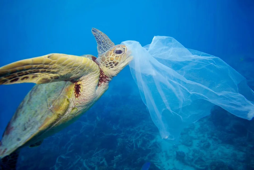 El CLUB DEPORTIVO LOS AMIGOS DE DESAGUADERO MENDOZA :"NO A LA BOLSA PLASTICA DE UN USO"COMPROMETERSE CON SU COMUNIDAD PARA PROTEGER EL MEDIO AMBIENTE