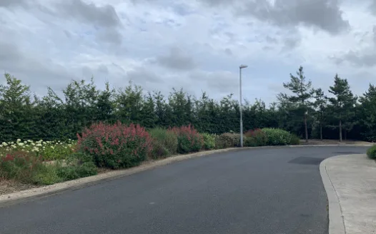 Belmont Drive double yellow lines for child safety
