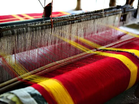 Don't let Gucci take over Indian Sarees