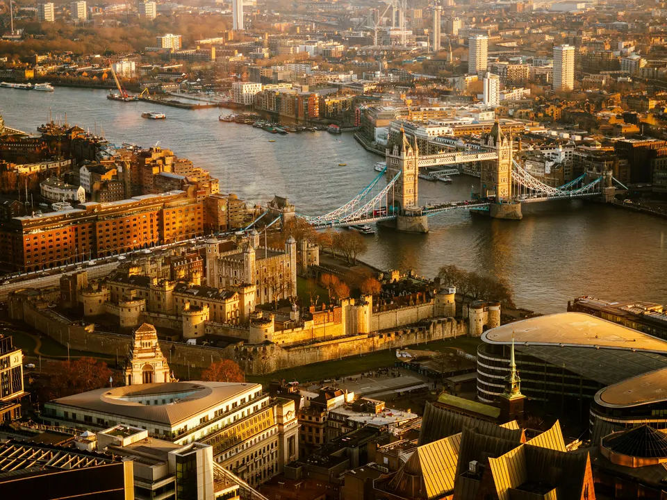 Dlive London 2020