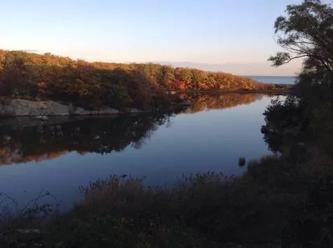 ​PETITION TO REQUEST CONSERVATION COMMISSION TO ENFORCE LOCAL BYLAW
