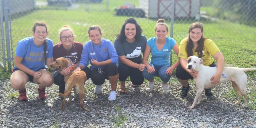 DEMAND CHANGES AT THE MASON COUNTY ANIMAL SHELTER