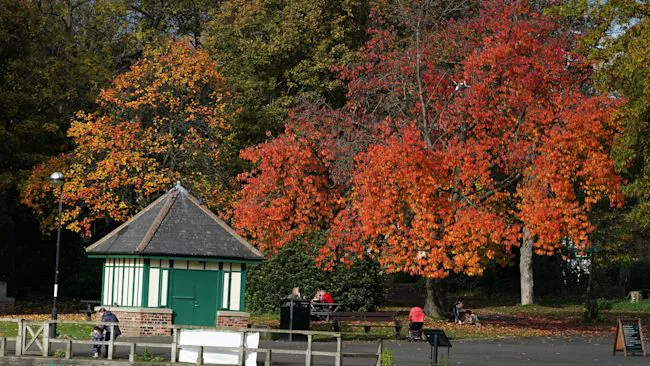 Petition to stop Labour selling Riley's Way Green, a public green space, for housing.