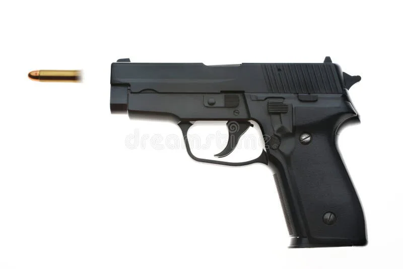 Petition to end gun violence.