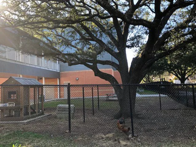 Keep Choice Alive at Garden Oaks Elementary 