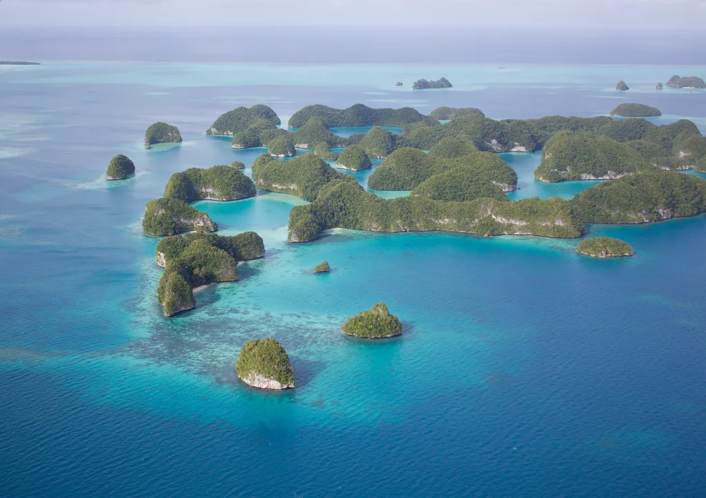 PETITION AGAINST CASINO GAMBLING IN PALAU